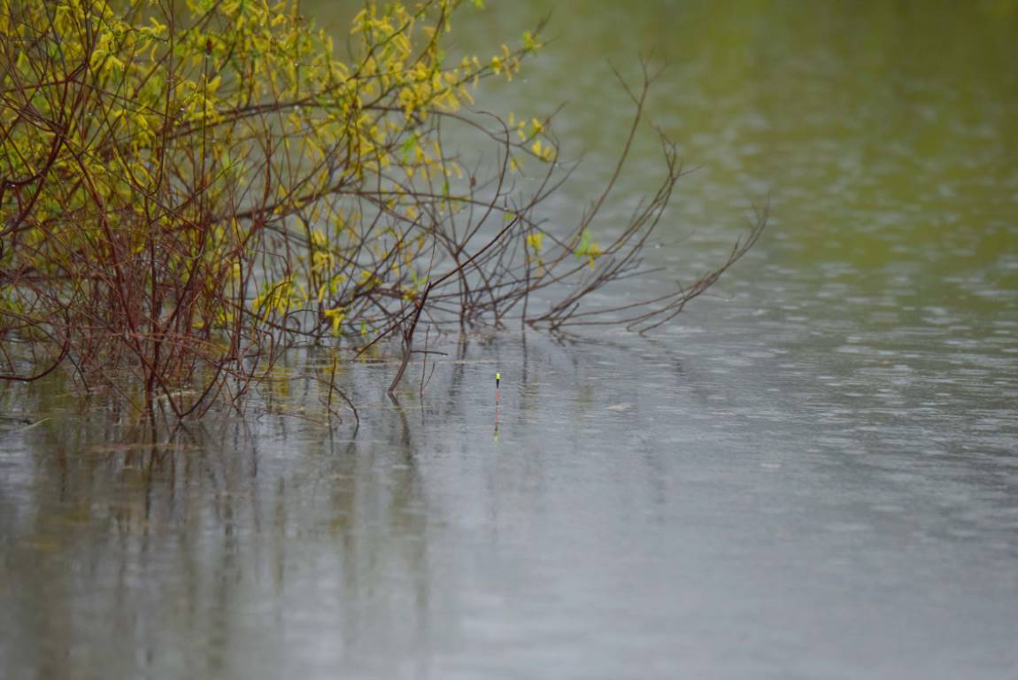DSC_0750.JPG