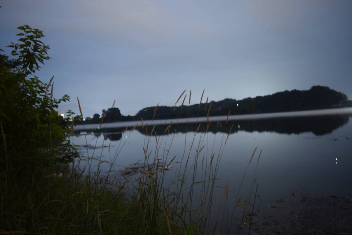 DSC_0887[1].JPG