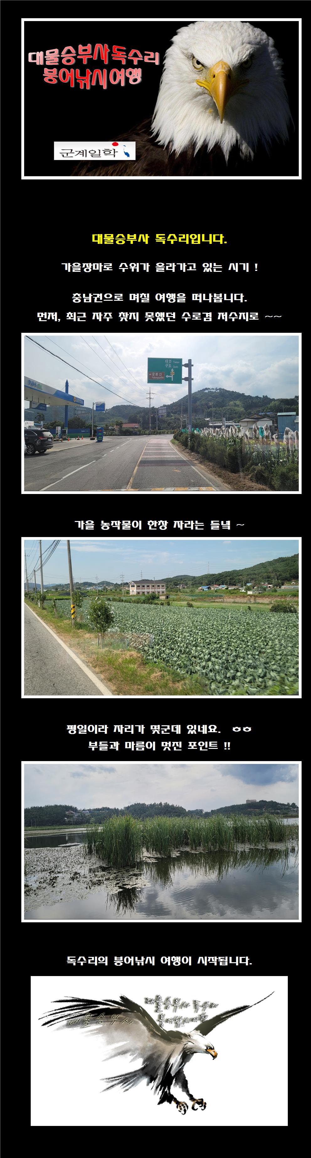 ۼ ⺻Ʋ 븲 ⺻001.jpg