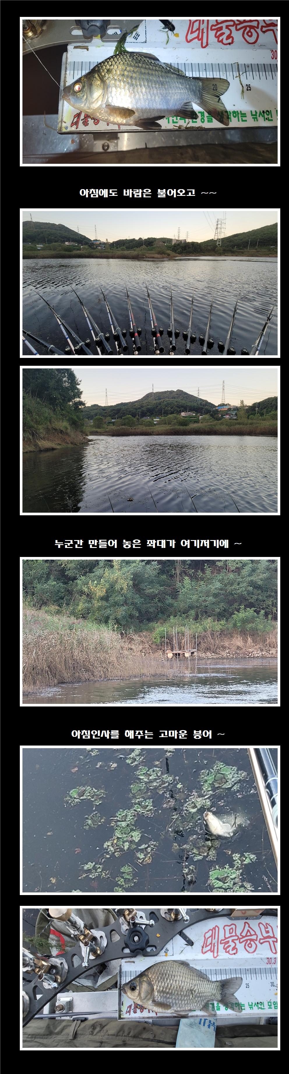 ۼ ⺻Ʋ 븲 ⺻015.jpg