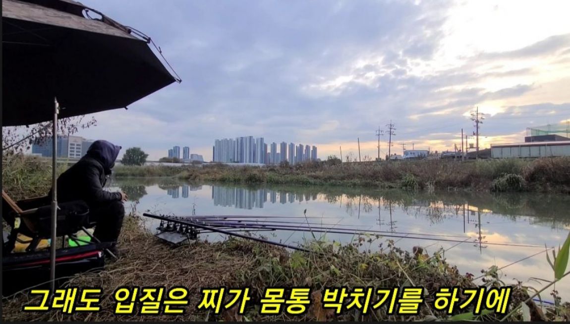 오짜붕어야. 민물낚시 노지조행기 > 수도권 놀이터 대물움직임 : 낚시사랑