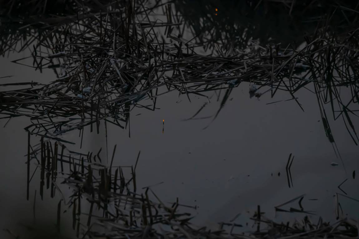 DSC_4646.jpg
