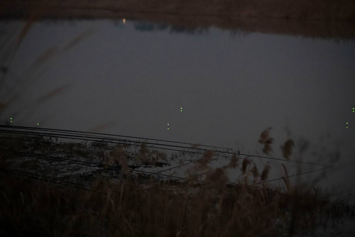 DSC_4727.jpg