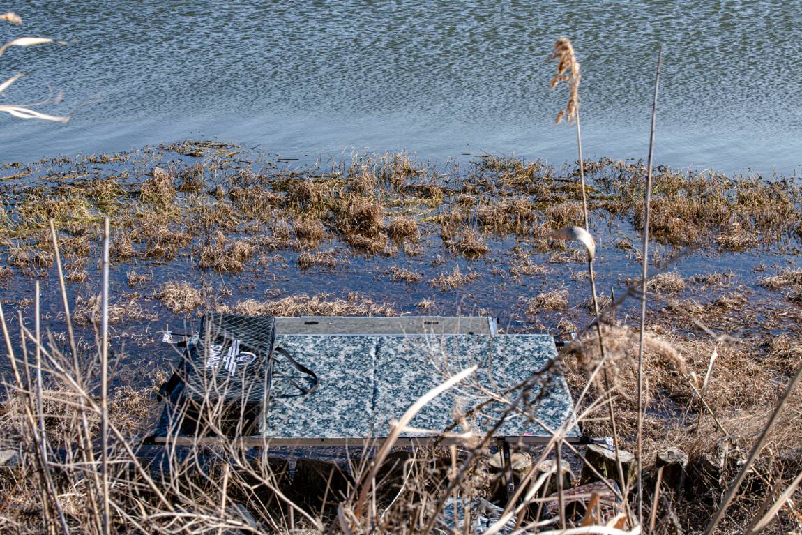 DSC_5254.jpg