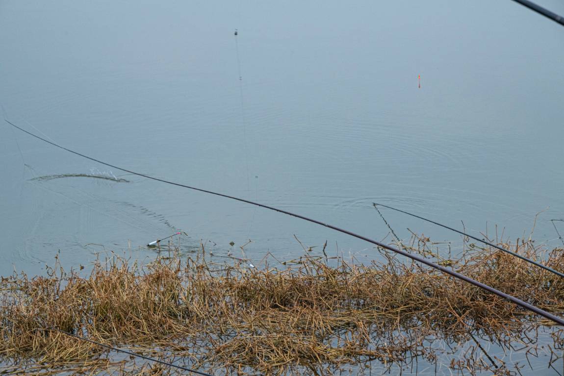 DSC_6217.jpg