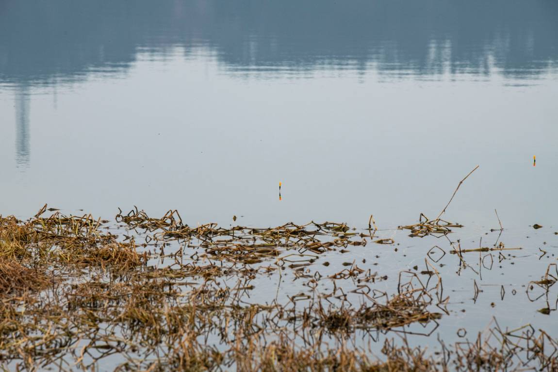 DSC_6240.jpg