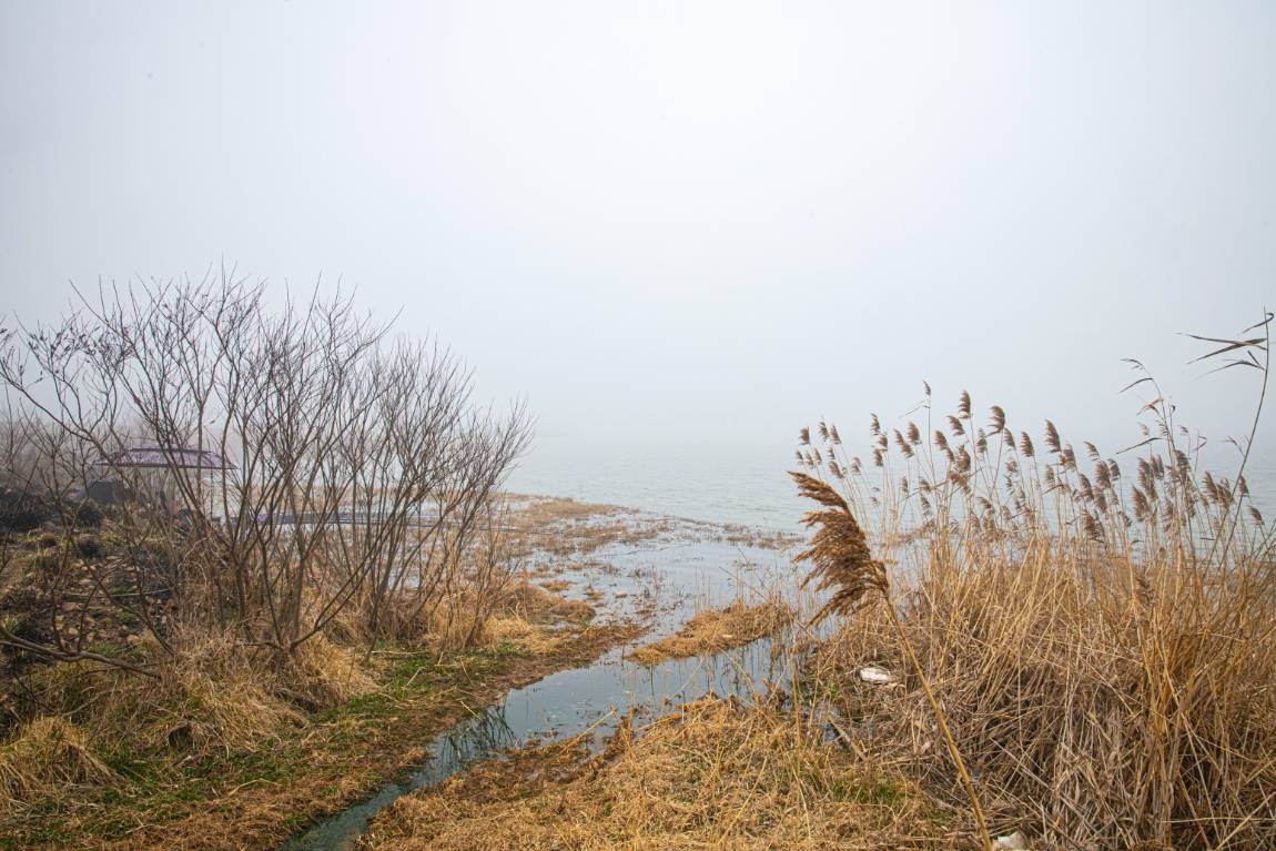 DSC_6248.jpg