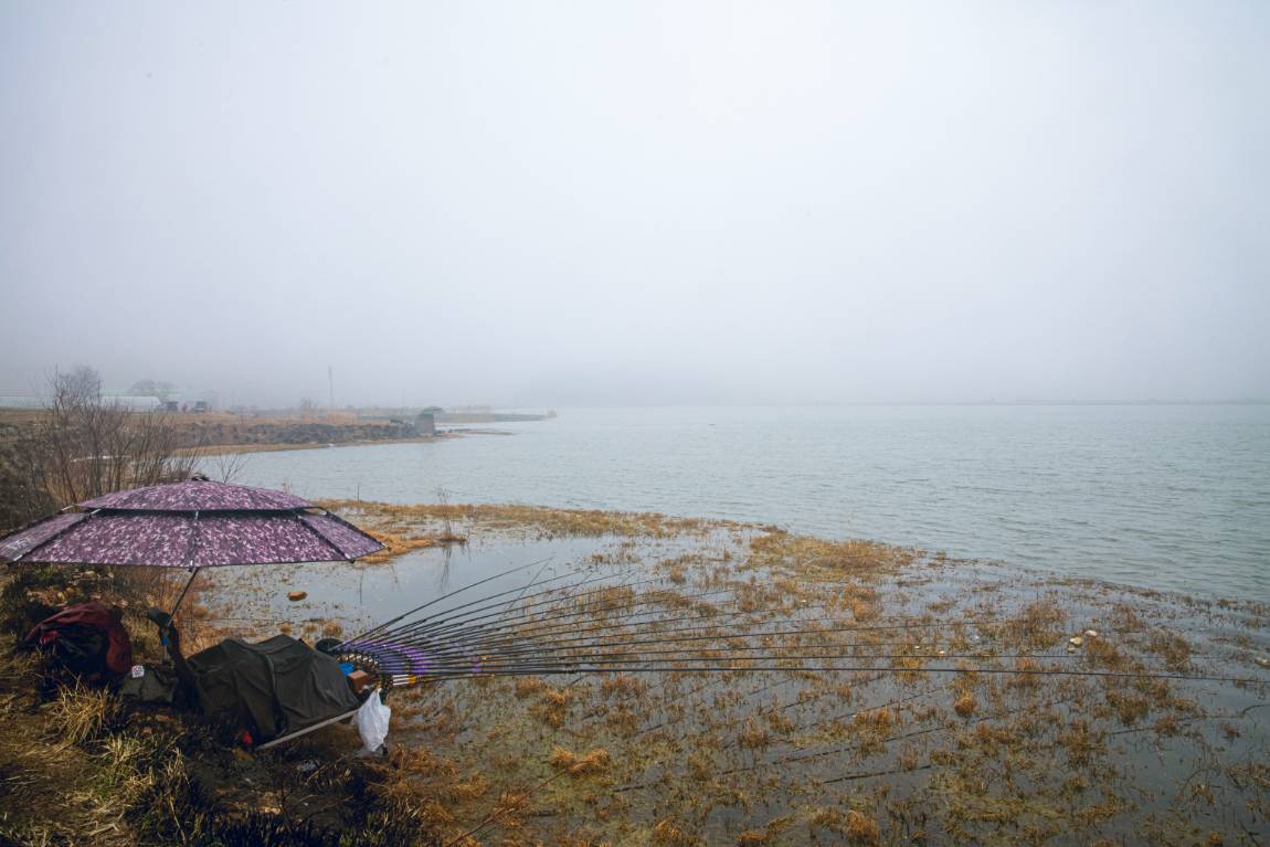DSC_6254.jpg