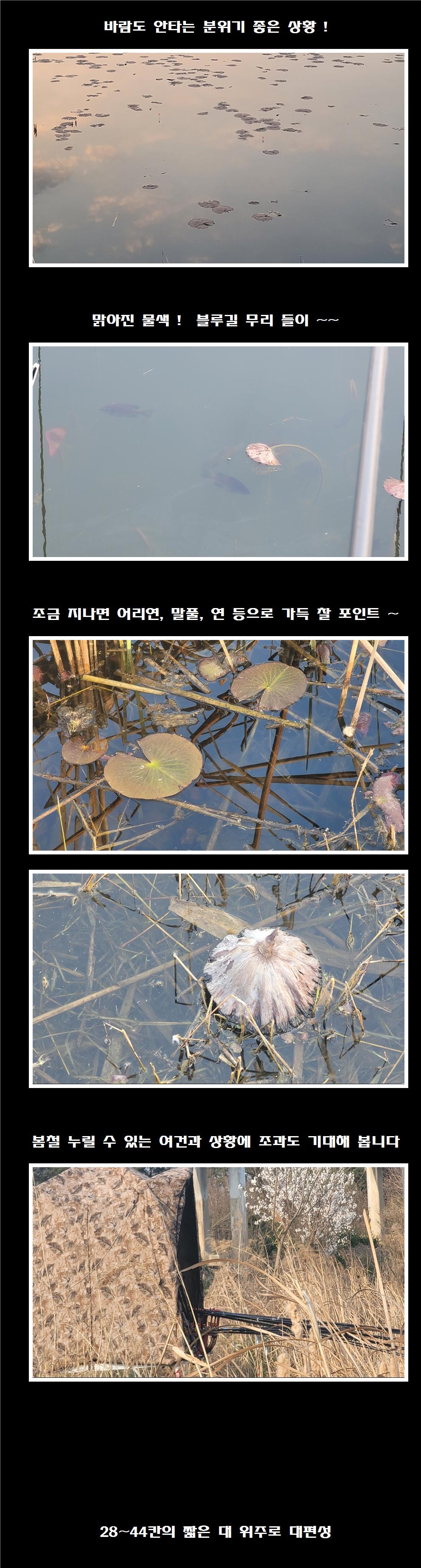 ۼ ⺻Ʋ 븲 ⺻011.jpg