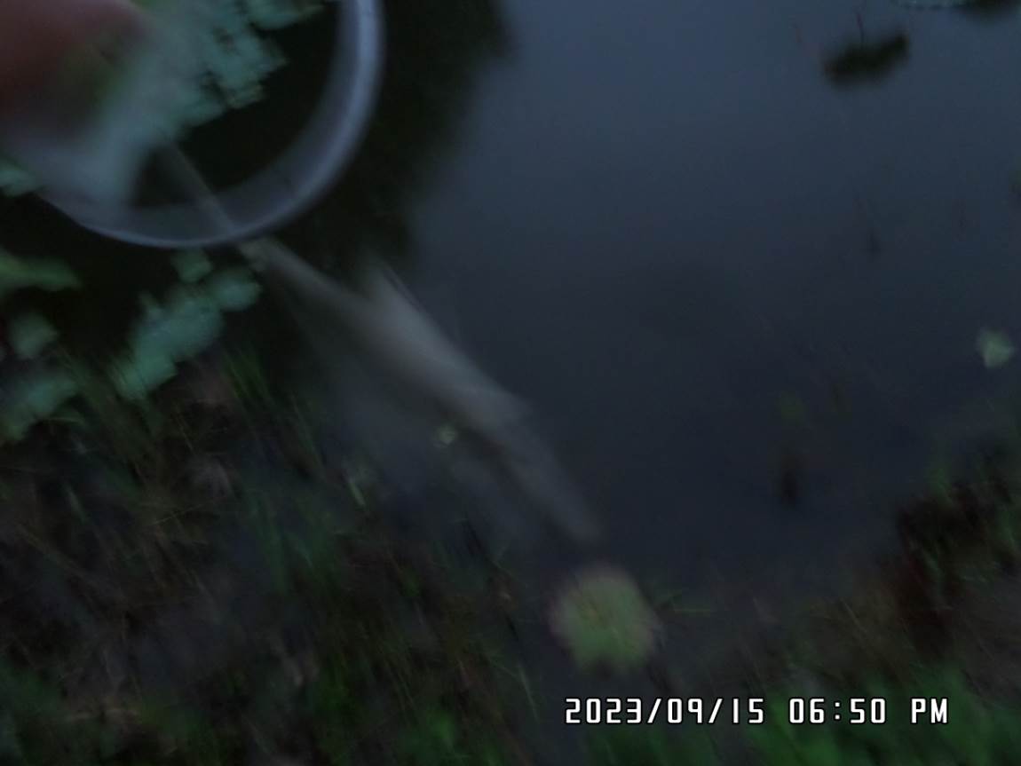 SAM_5325.JPG