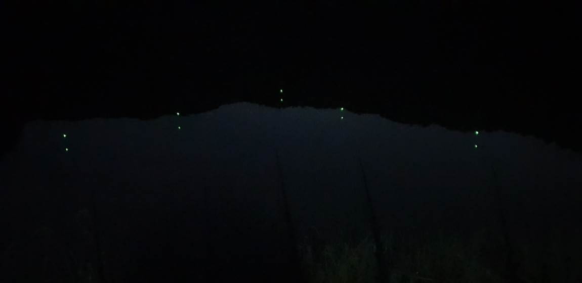 20230922_192029.jpg