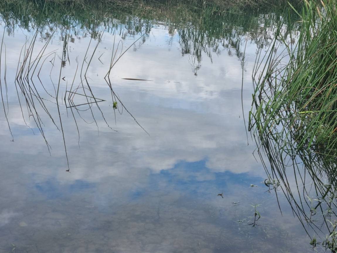 20230925_152116.jpg