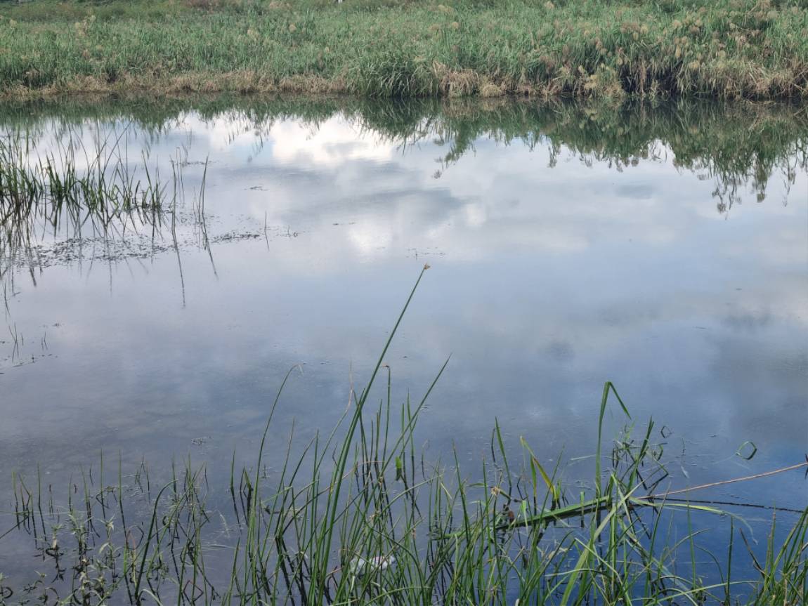 20230925_152259.jpg