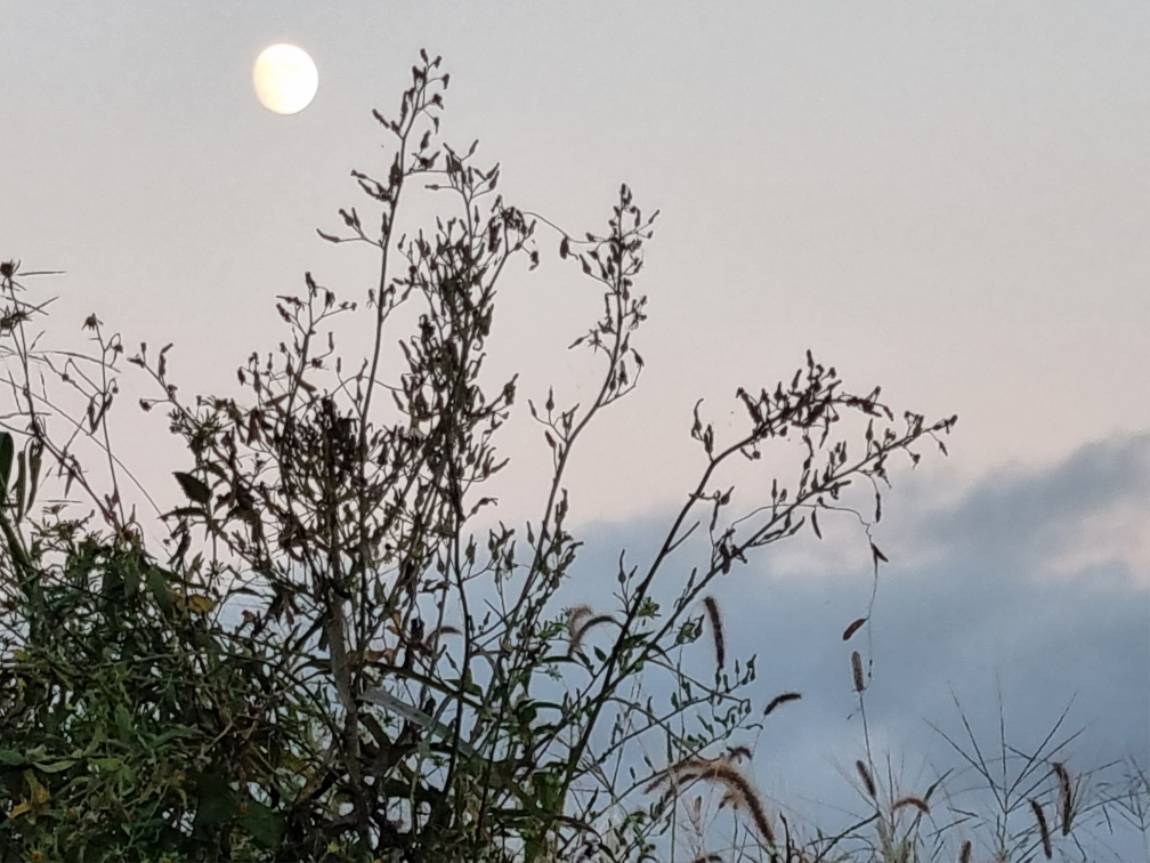 20230927_182455.jpg