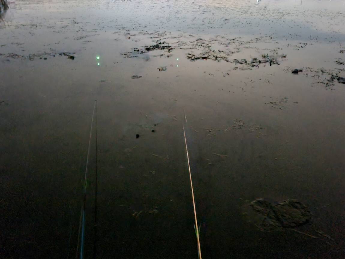 20230927_204651.jpg