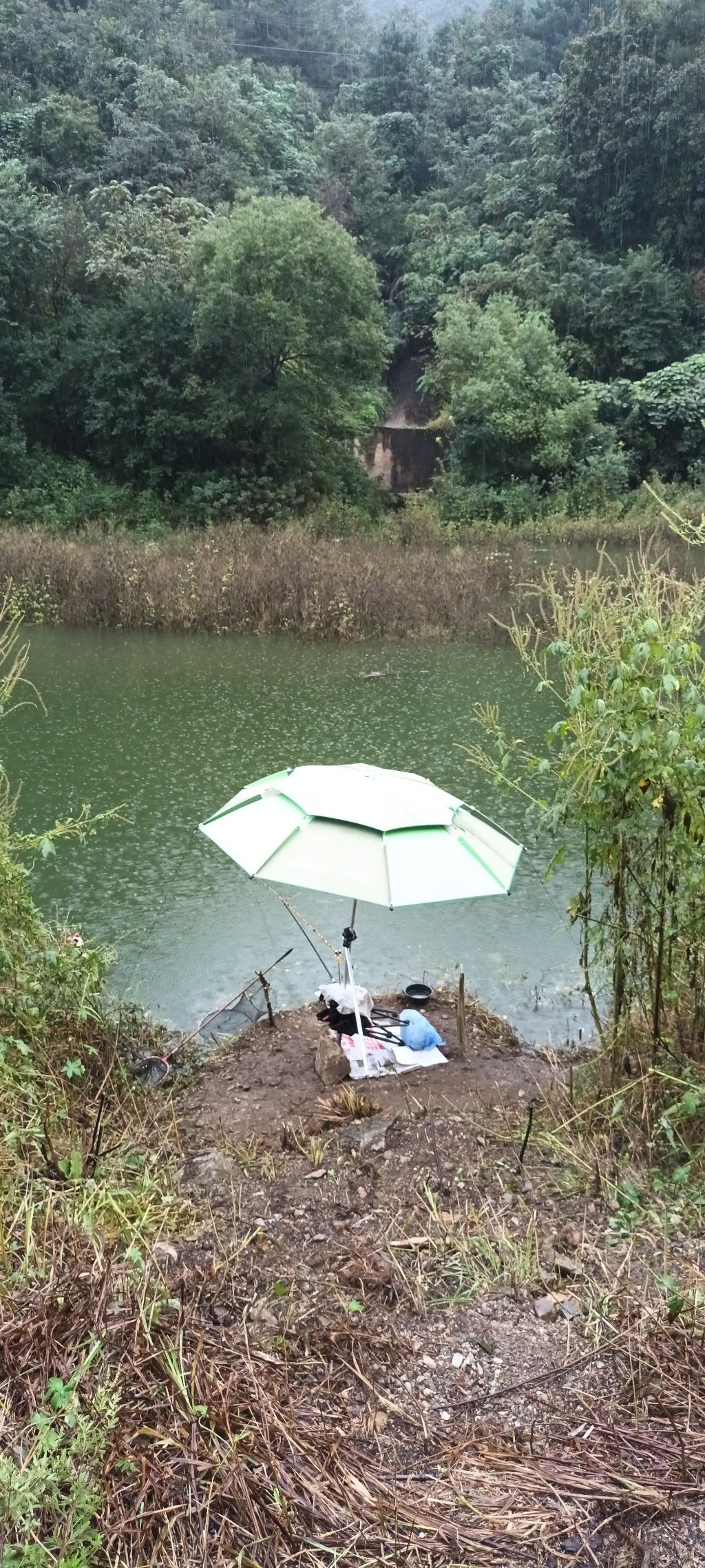 1b184042fbcdb3378be806269db529f9a8065461 (1).jpg