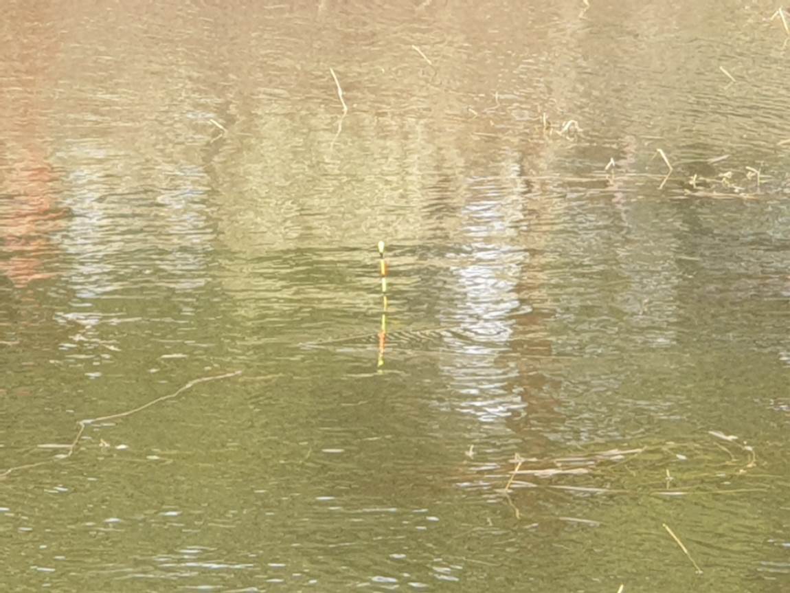 20231119_145144.jpg