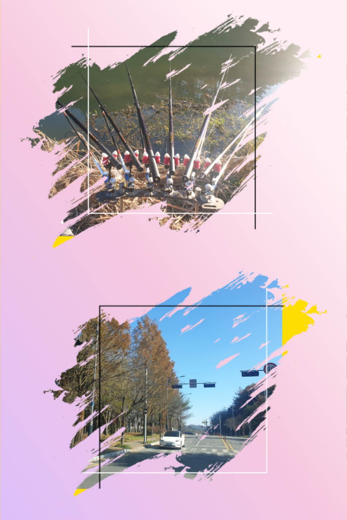 1700485891261.jpg