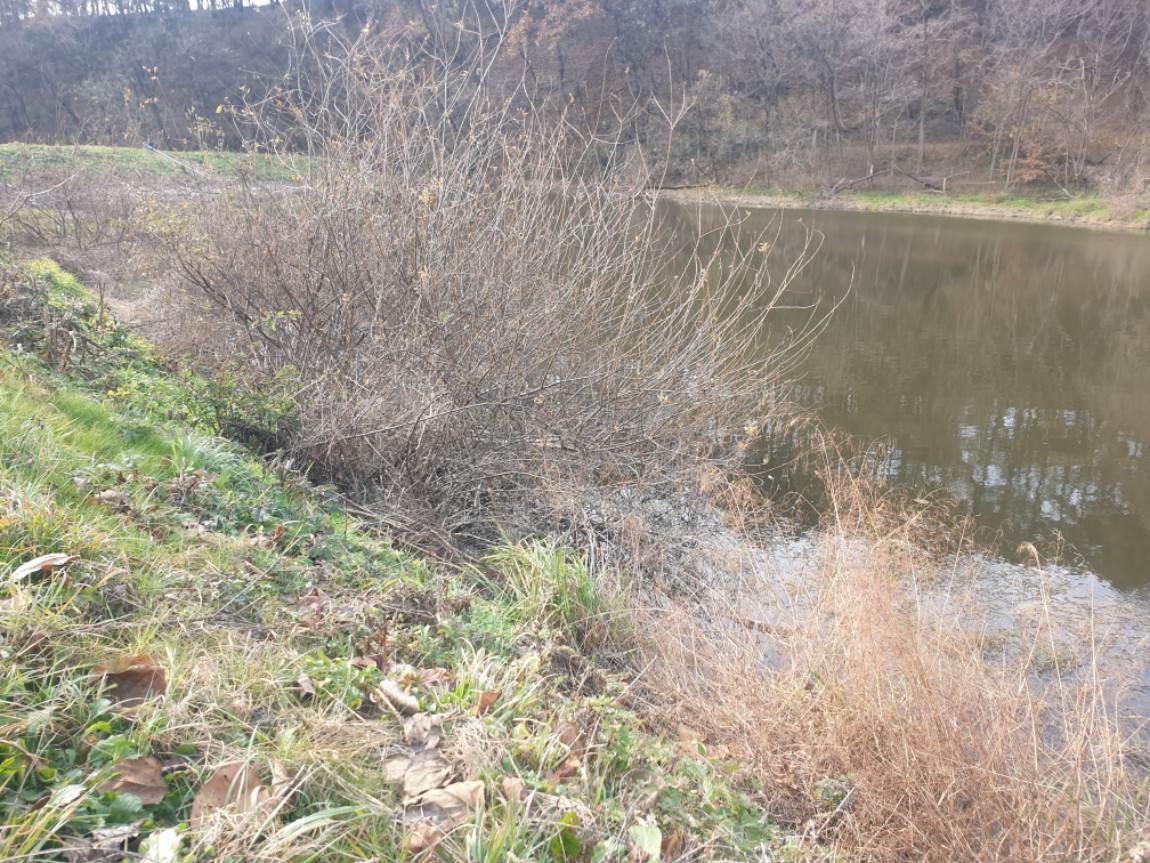 20231129_123837.jpg