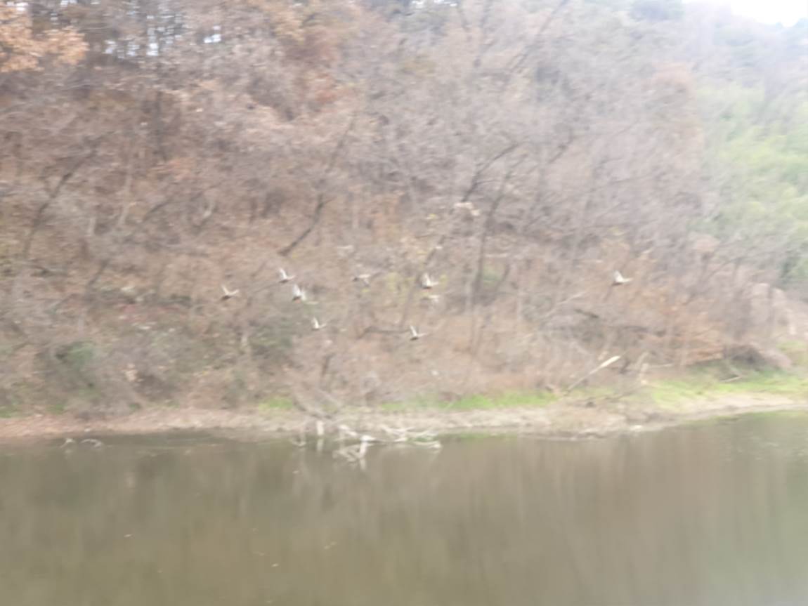 20231129_135836.jpg