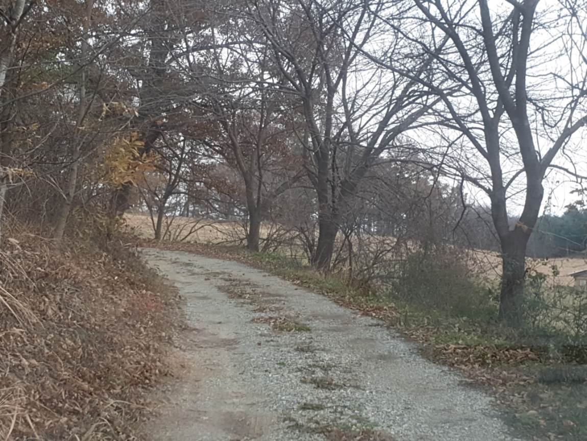 20231129_155233.jpg