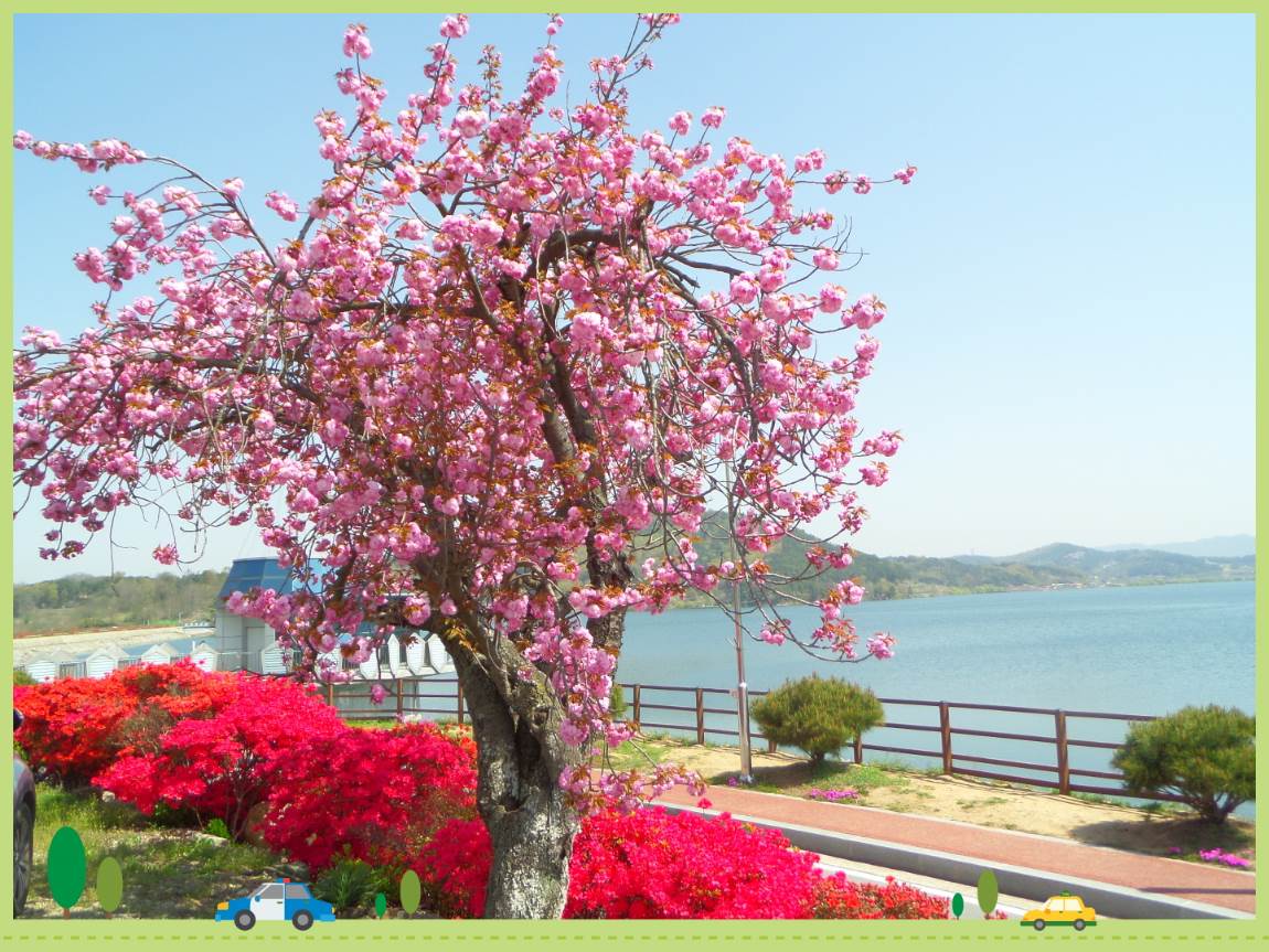 ٹ̱_SAM_6267.JPG