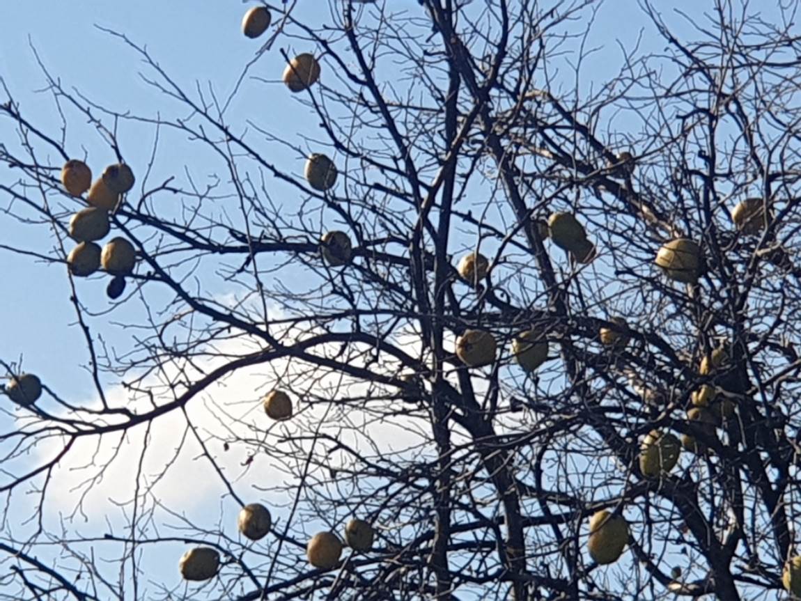 20231130_130845.jpg