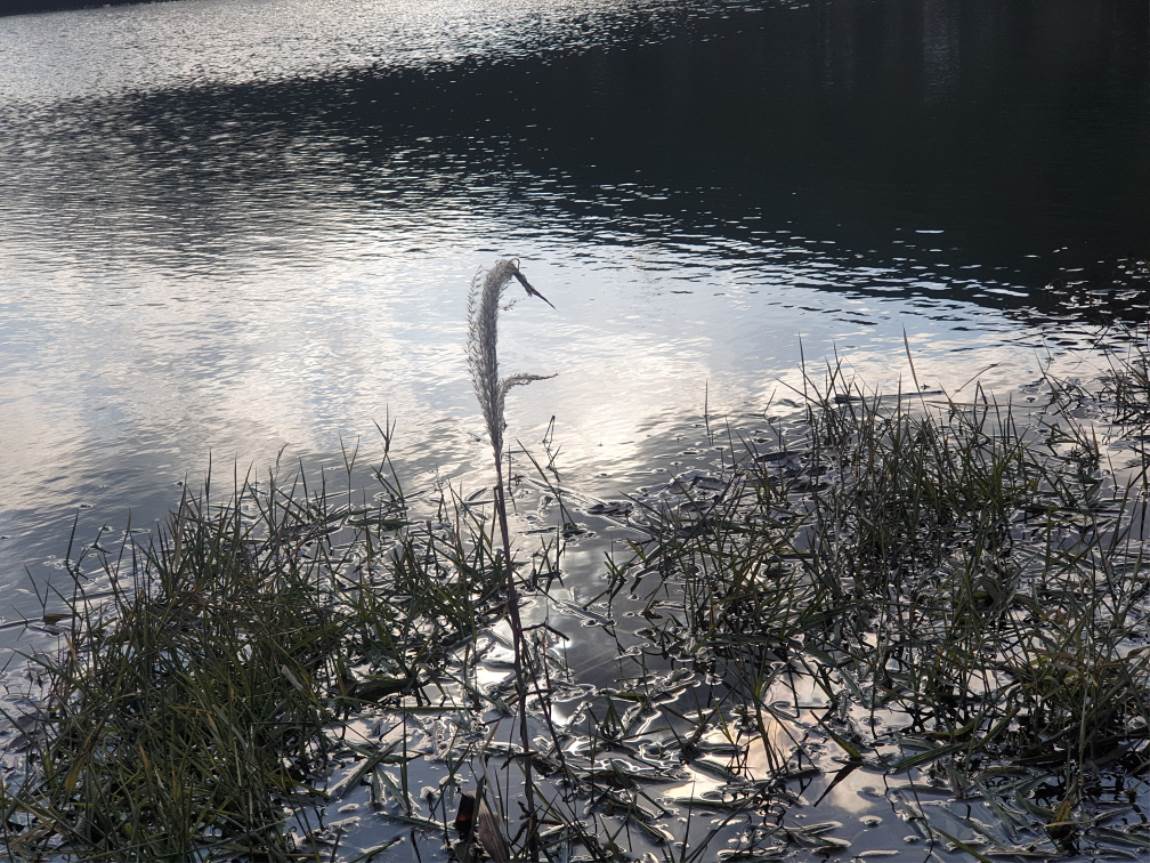 20231130_143836.jpg