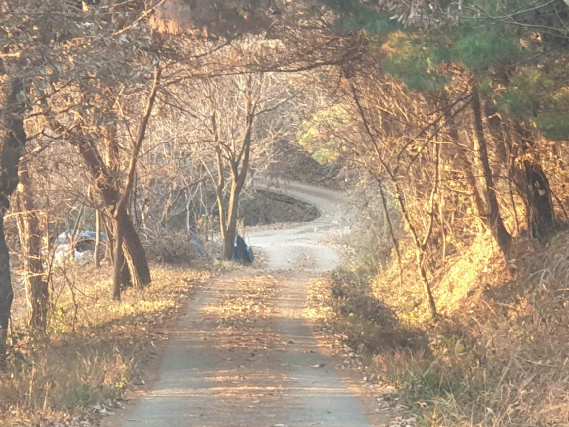 20231130_164944.jpg