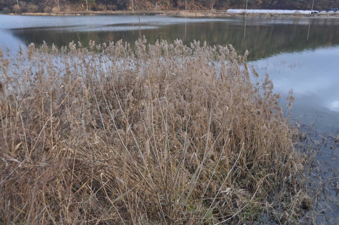 DSC_0015.JPG