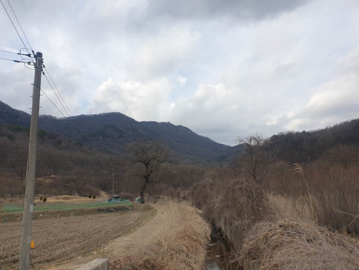 팔묜 민물낚시 노지조행기 > 낚시 댕겨온 이바구 : 낚시사랑