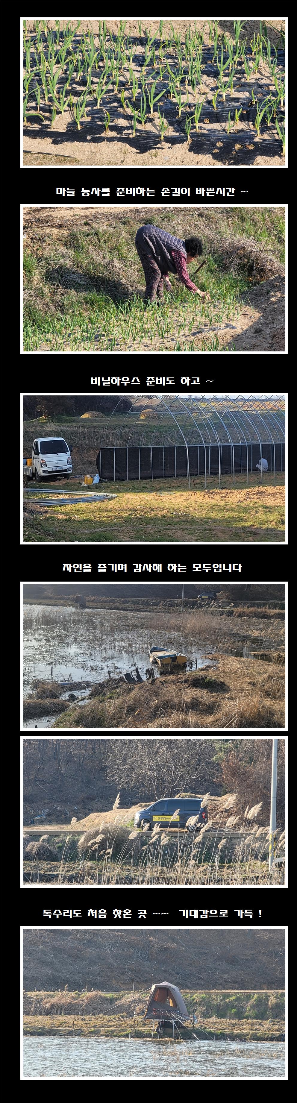 ۼ ⺻Ʋ 븲 ⺻010.jpg