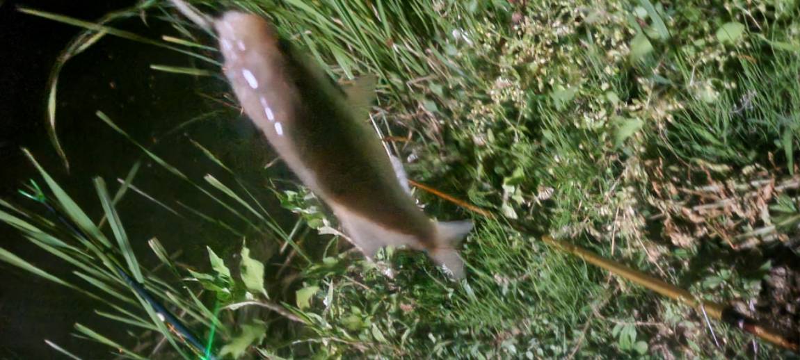 20240608_002635.jpg