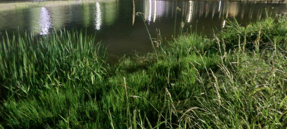 20240608_013718.jpg