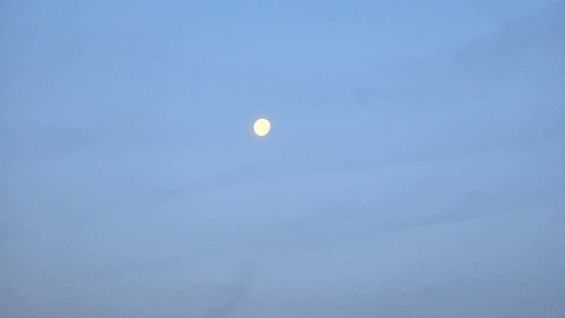20240526_052234.jpg
