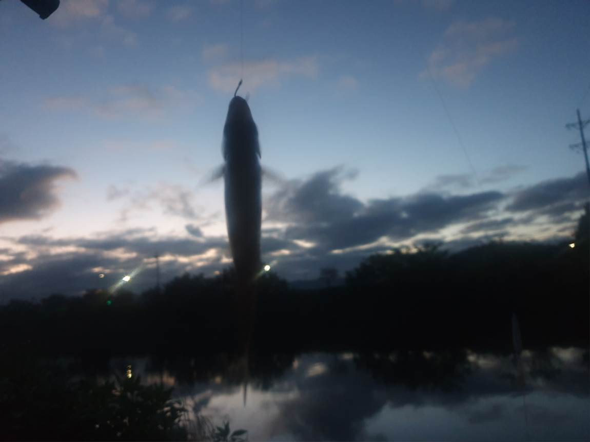 20240731_050749.jpg