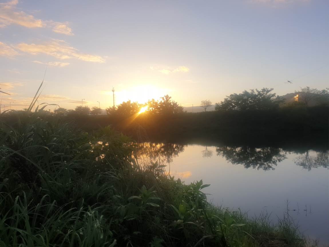 20240731_055556.jpg