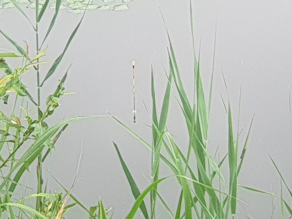 20240804_065510.jpg