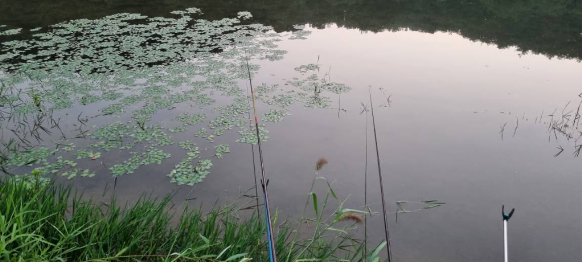 20240804_053242.jpg