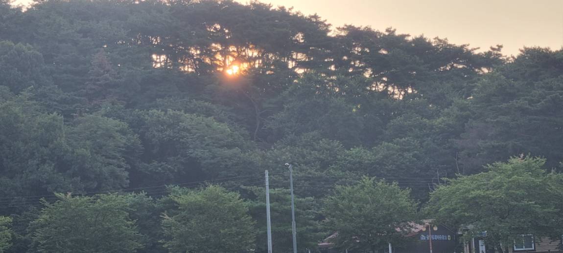 20240804_063505.jpg