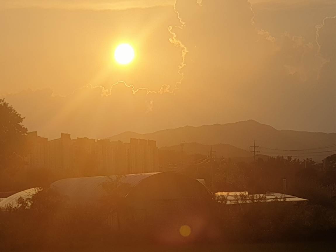 20240804_185519.jpg