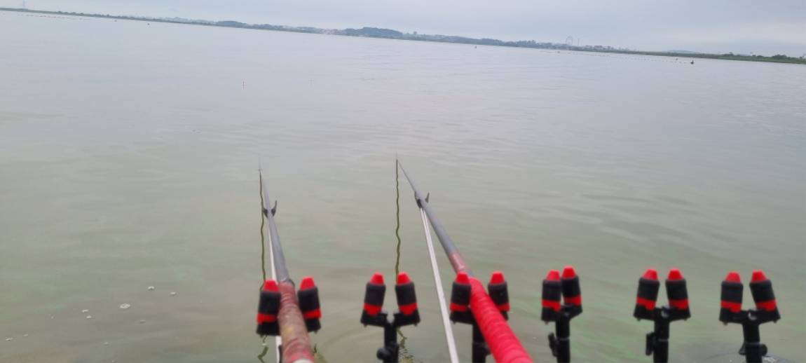 20240902_072604.jpg