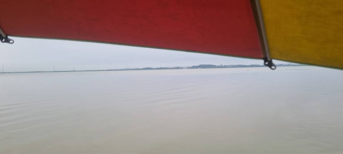 20240902_082036.jpg