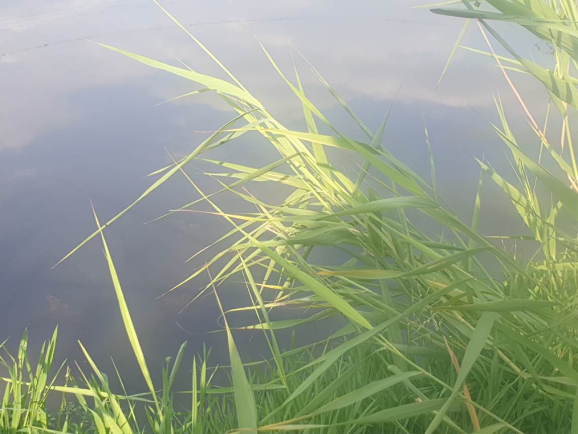 20240903_080521.jpg