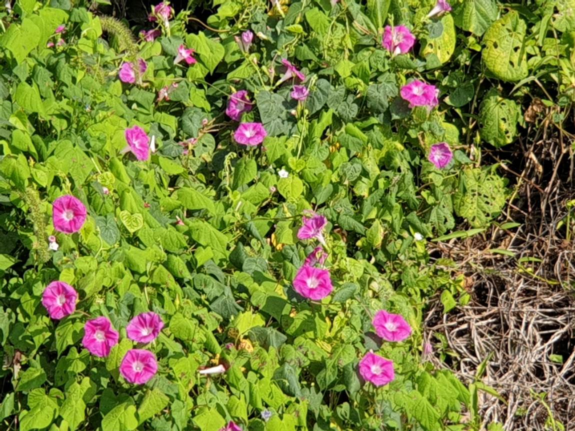 20240903_090456.jpg