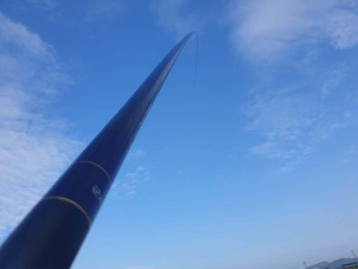 20240905_082108.jpg