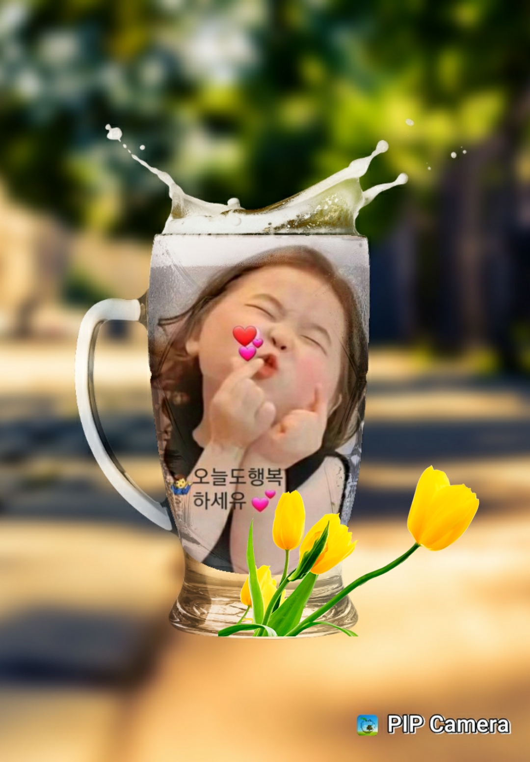 pipcamera_1724625076920.jpg