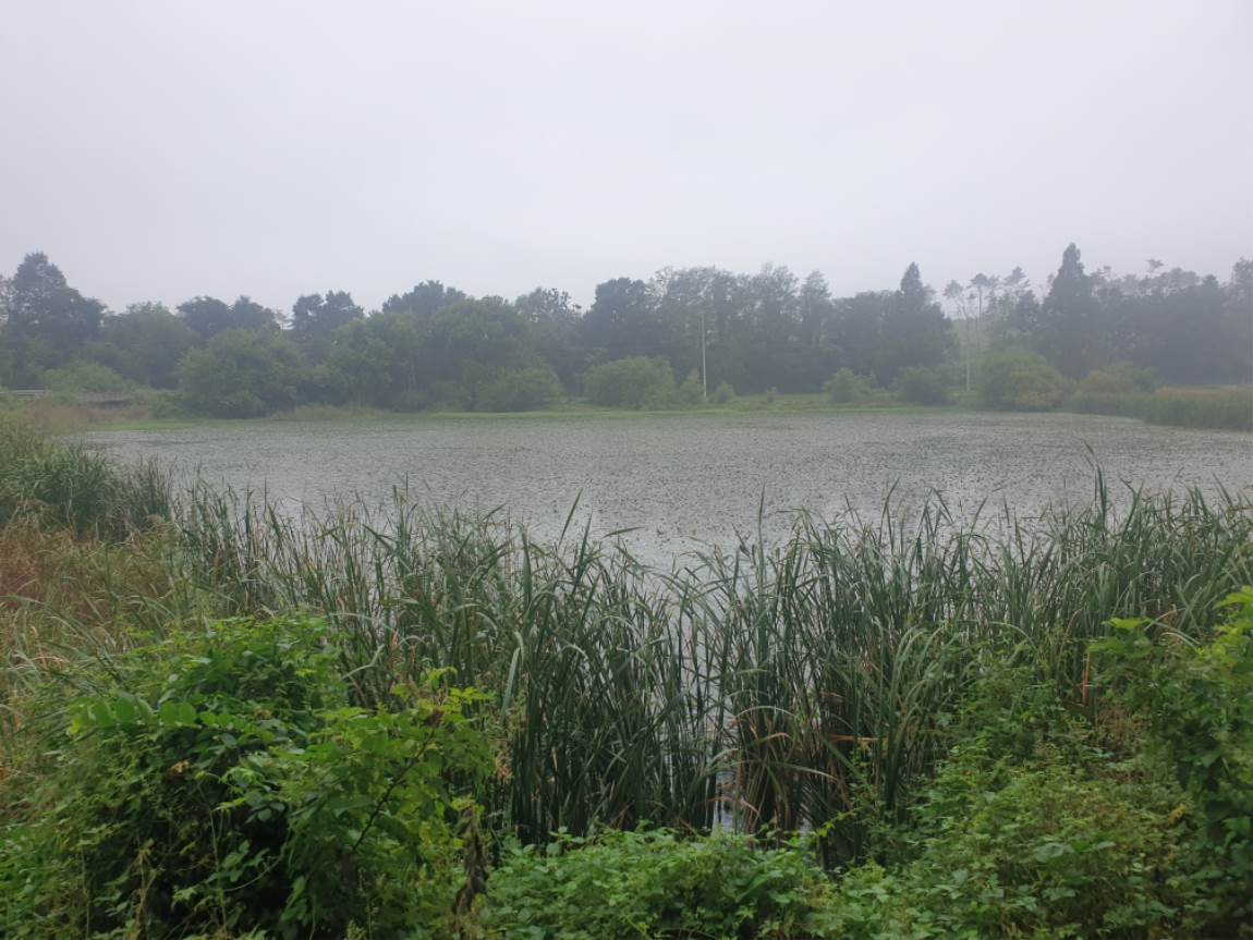 20240907_064503.jpg