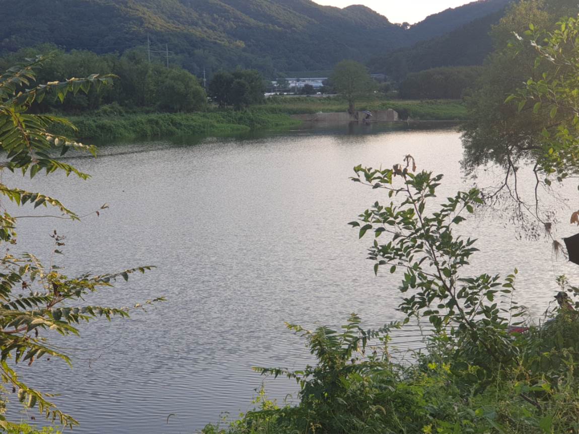 20240907_180702.jpg