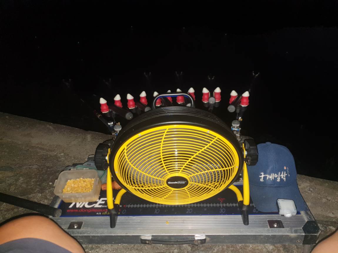 20240907_192907.jpg